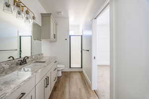 Bathroom with wood-type flooring, vanity, toilet, and a shower with shower door