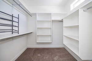 Walk in closet featuring medium colored carpet