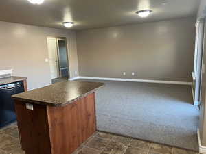 Kitchen with dishwasher and dark carpet