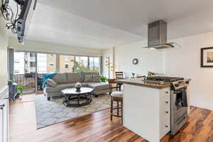 Kitchen with stainless steel gas stove, dark hardwood / wood-style floors, white cabinetry, and exhaust hood