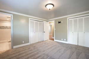 Unfurnished bedroom with carpet, two closets, crown molding, and ensuite bath