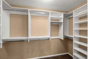 Walk in closet with carpet floors