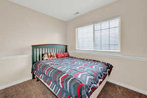 Bedroom with carpet flooring and multiple windows