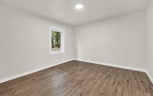 Spare room featuring wood-type flooring