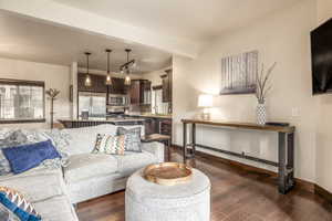 Living room featuring dark hardwood / wood-style floors and sink