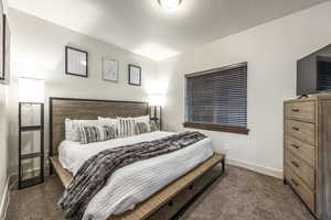 Bedroom with dark colored carpet