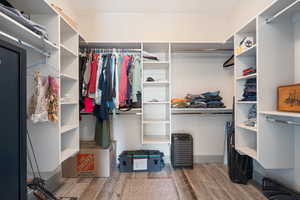 Spacious closet featuring wood-type flooring