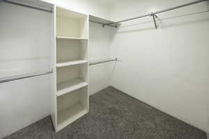 Spacious closet featuring dark carpet