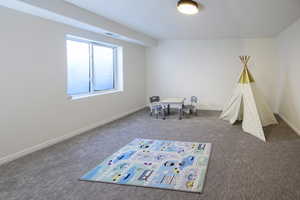 Recreation room with carpet