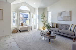 Living room featuring lofted ceiling