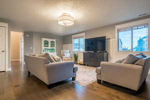 Living room with a textured ceiling, dark hardwood / wood-style flooring, and a healthy amount of sunlight