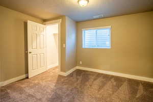 Basement bedroom 1