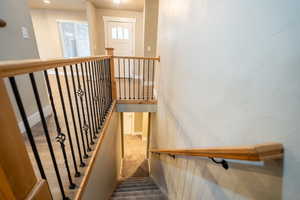 Stairway with carpet to basement