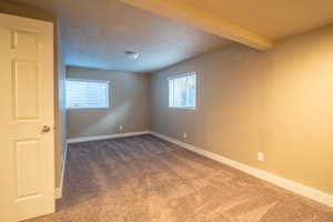 Basement bedroom 2