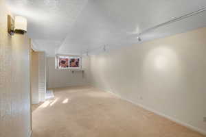 Basement featuring light colored carpet, a textured ceiling, and track lighting