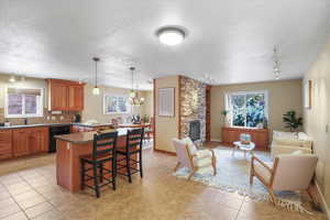 Kitchen with a kitchen breakfast bar, track lighting, tasteful backsplash, a fireplace, and black dishwasher