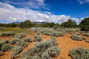 View of local wilderness featuring a mountain view