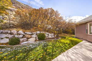 View of yard with a mountain view