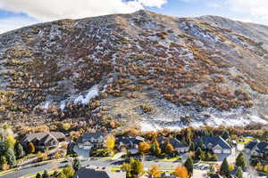 Birds eye view of property with a mountain view