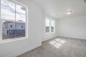 Primary Bedroom with light carpet