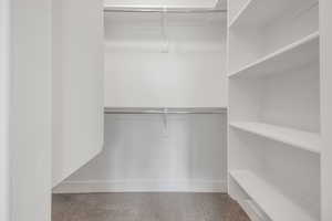 Spacious closet featuring carpet flooring