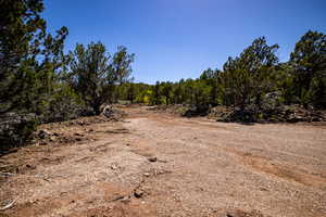 View of landscape