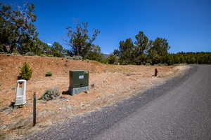 View of road