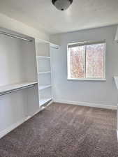 Walk in closet with carpet floors