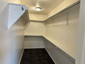 Spacious closet featuring carpet