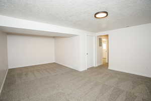 Basement with carpet flooring, a textured ceiling, and electric panel