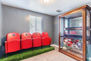 Cinema with carpet flooring and a textured ceiling