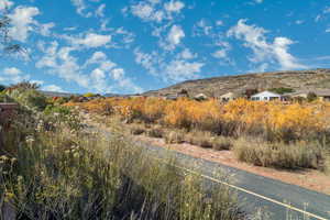 Backyard mountain view and bike/ walk pathway