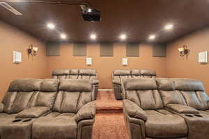 Cinema room featuring carpet