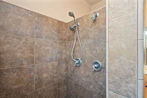 Details with tiled shower