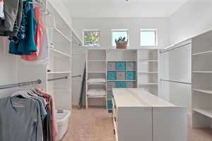 Spacious closet featuring light colored carpet