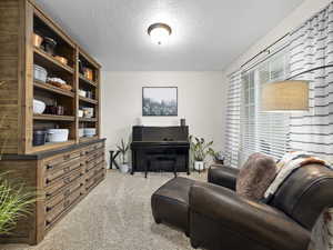 Living room with light carpet and a textured ceiling