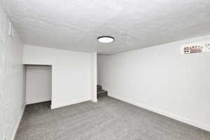 Basement featuring carpet and a textured ceiling