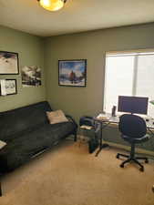 Home office featuring carpet