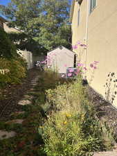 View of yard featuring a shed