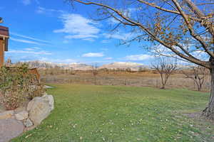 View of yard with a mountain view and a rural view