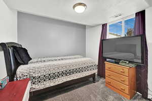 Bedroom with carpet floors and a textured ceiling