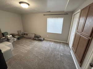 Miscellaneous room with carpet flooring and a textured ceiling