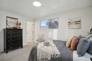 Bedroom featuring light colored carpet