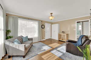 Living room featuring wood-type flooring and ornamental molding