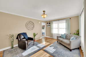 Living room featuring crown molding and hardwood / wood-style floors