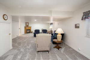 Basement Family Room