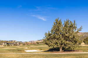 Surrounding community featuring a lawn