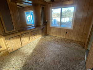 Carpeted spare room with wood walls