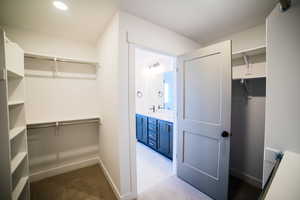 Spacious closet featuring light carpet and sink