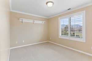 Carpeted empty room featuring crown molding